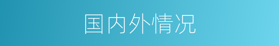 国内外情况的同义词