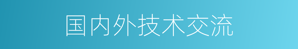 国内外技术交流的同义词