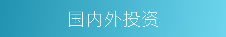 国内外投资的同义词