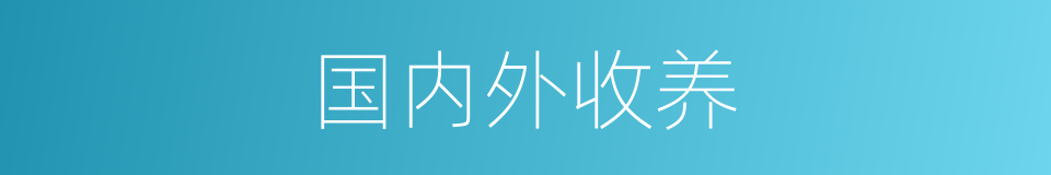 国内外收养的同义词