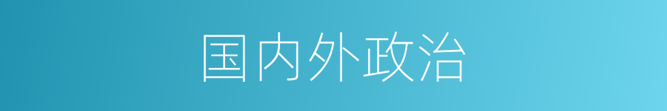 国内外政治的同义词