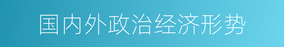 国内外政治经济形势的同义词