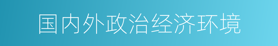 国内外政治经济环境的同义词