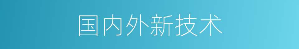 国内外新技术的同义词