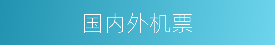 国内外机票的同义词