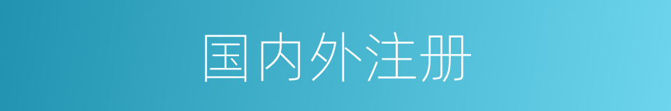 国内外注册的同义词