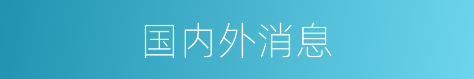 国内外消息的同义词