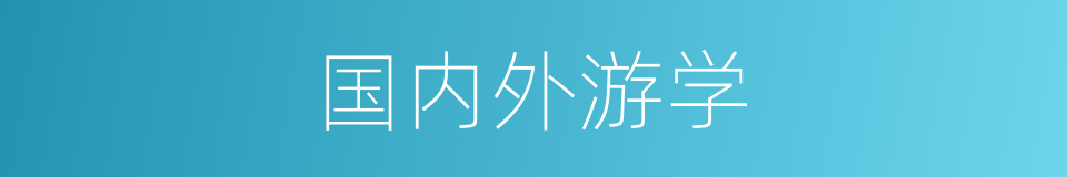 国内外游学的同义词