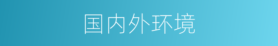 国内外环境的同义词