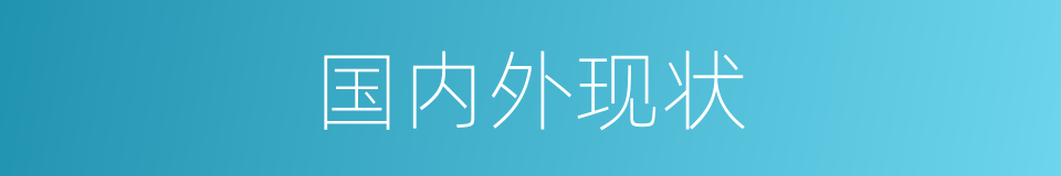 国内外现状的同义词