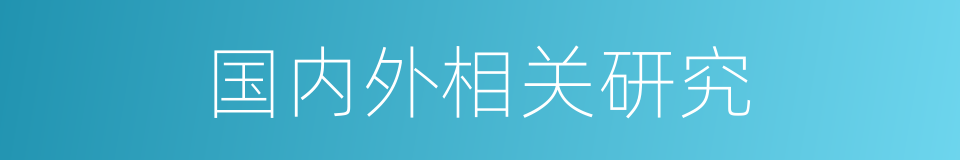 国内外相关研究的同义词