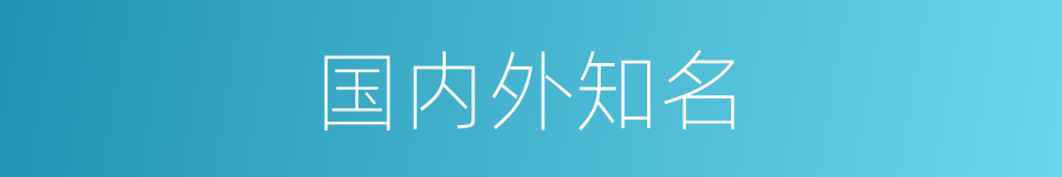国内外知名的同义词