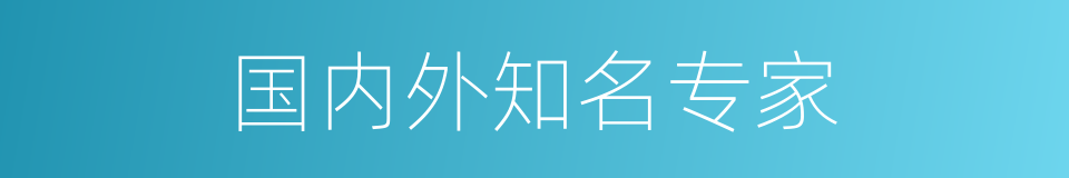 国内外知名专家的同义词