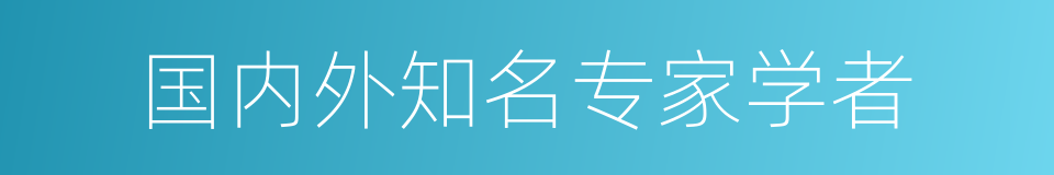 国内外知名专家学者的同义词