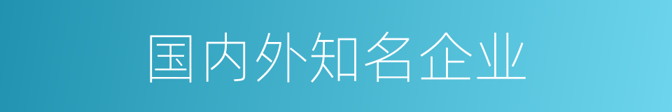 国内外知名企业的同义词