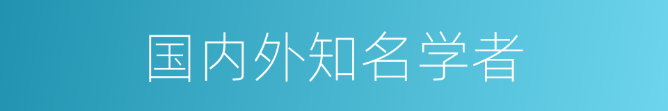 国内外知名学者的同义词