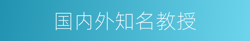 国内外知名教授的同义词