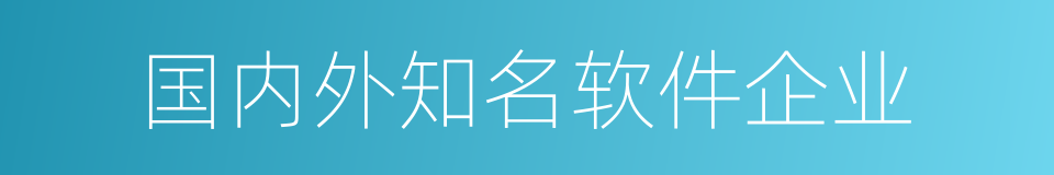 国内外知名软件企业的同义词