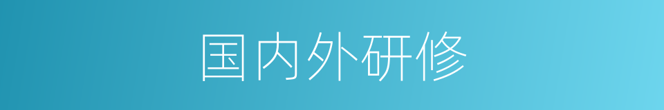 国内外研修的同义词