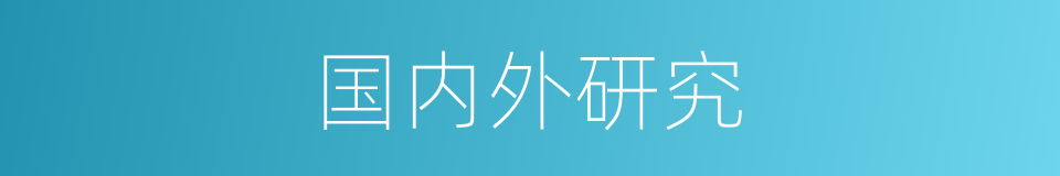 国内外研究的同义词