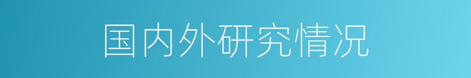 国内外研究情况的同义词