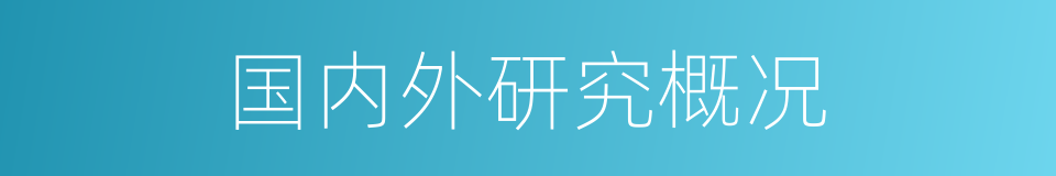 国内外研究概况的同义词