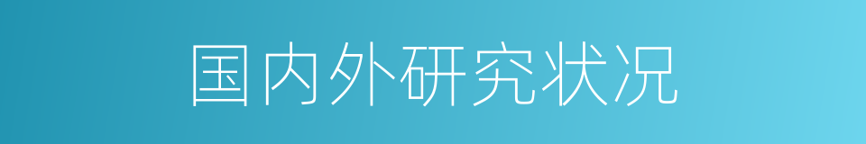 国内外研究状况的同义词