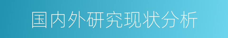 国内外研究现状分析的同义词