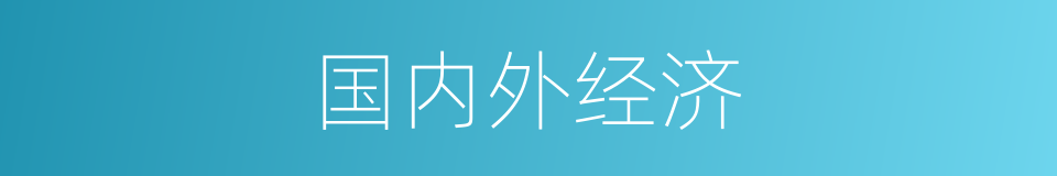 国内外经济的同义词