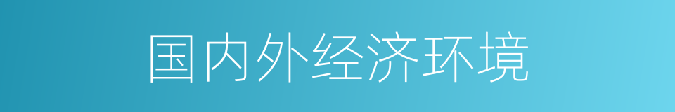 国内外经济环境的同义词