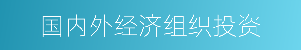 国内外经济组织投资的同义词