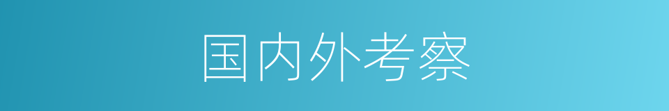 国内外考察的同义词