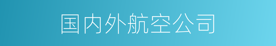 国内外航空公司的同义词