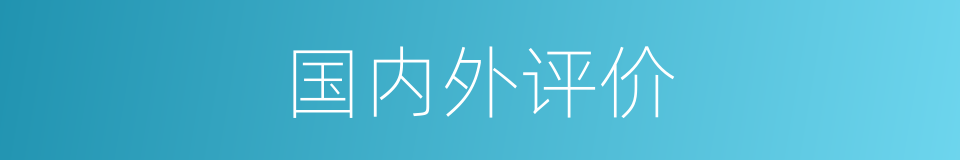 国内外评价的同义词