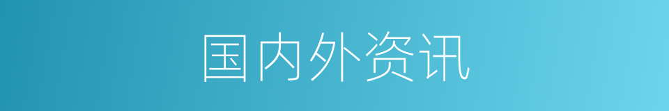 国内外资讯的同义词