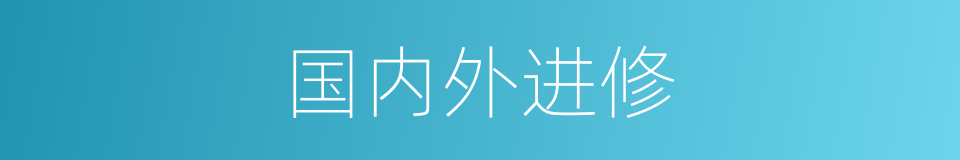 国内外进修的同义词