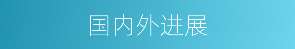 国内外进展的同义词