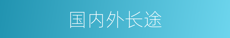 国内外长途的同义词