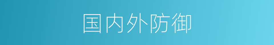 国内外防御的同义词