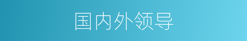 国内外领导的同义词