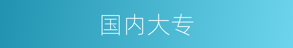 国内大专的同义词