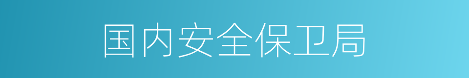 国内安全保卫局的同义词