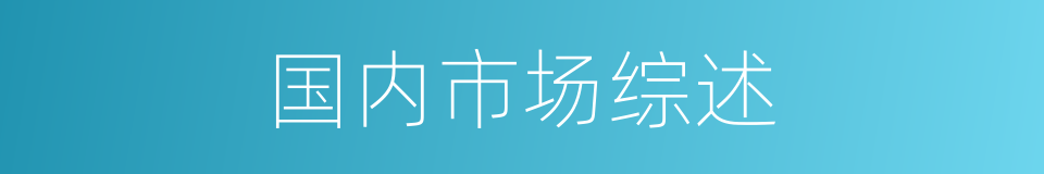 国内市场综述的同义词
