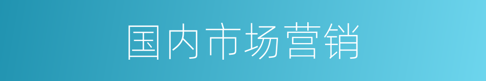 国内市场营销的同义词