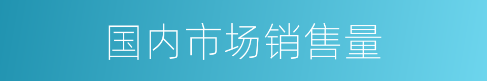 国内市场销售量的同义词