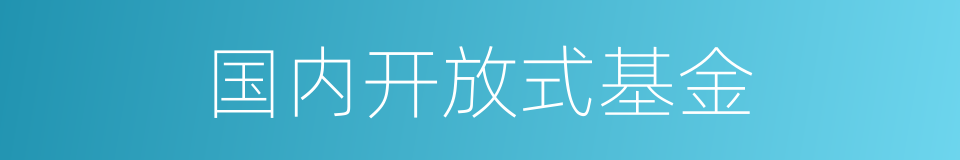 国内开放式基金的同义词