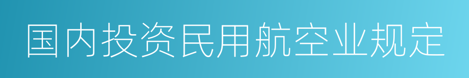 国内投资民用航空业规定的同义词