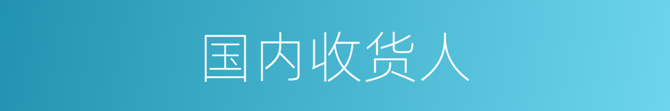 国内收货人的同义词