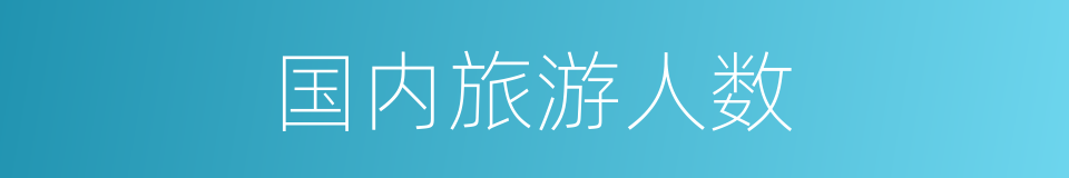 国内旅游人数的同义词