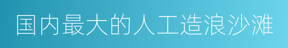 国内最大的人工造浪沙滩的同义词